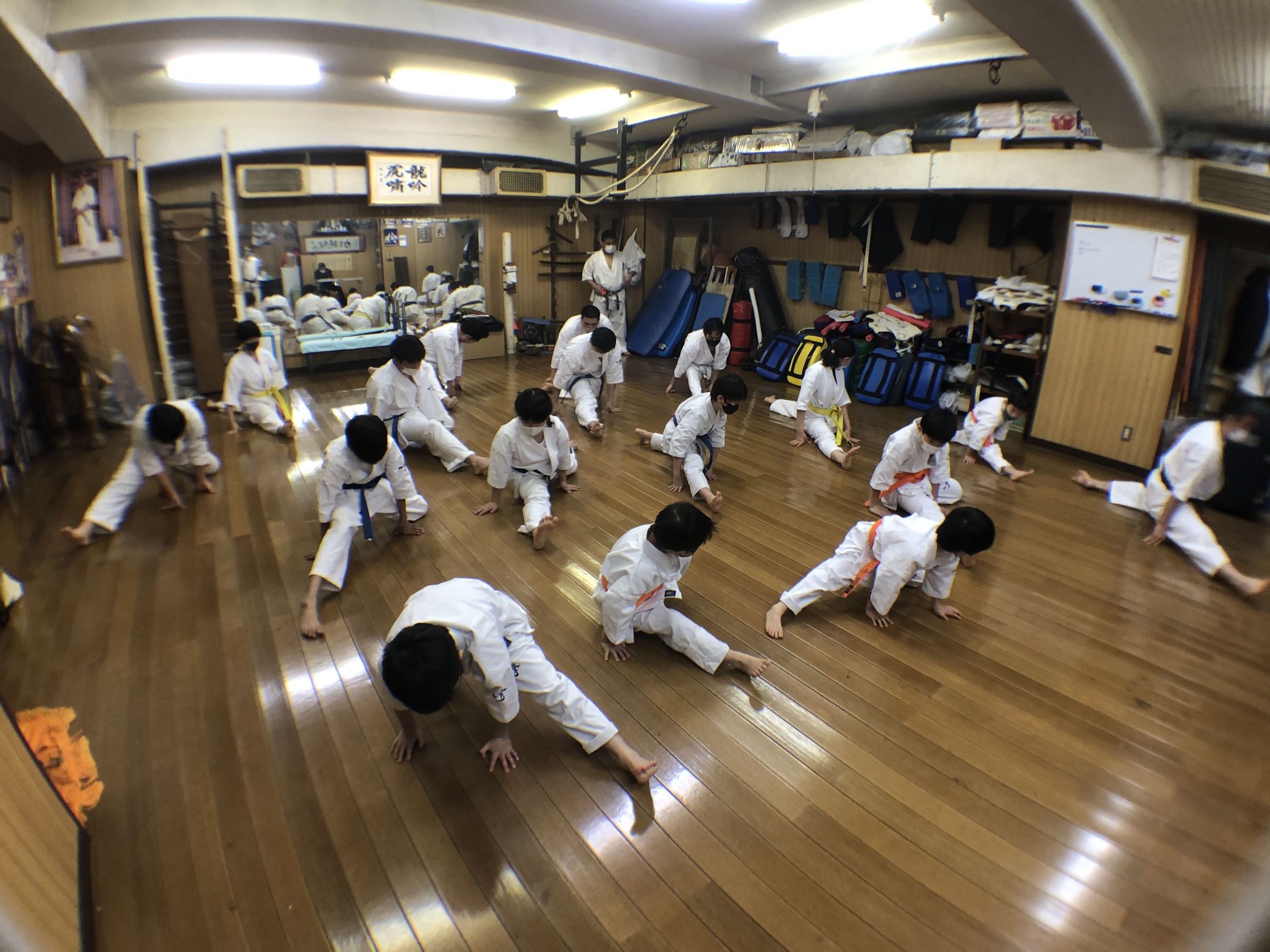 画像の説明