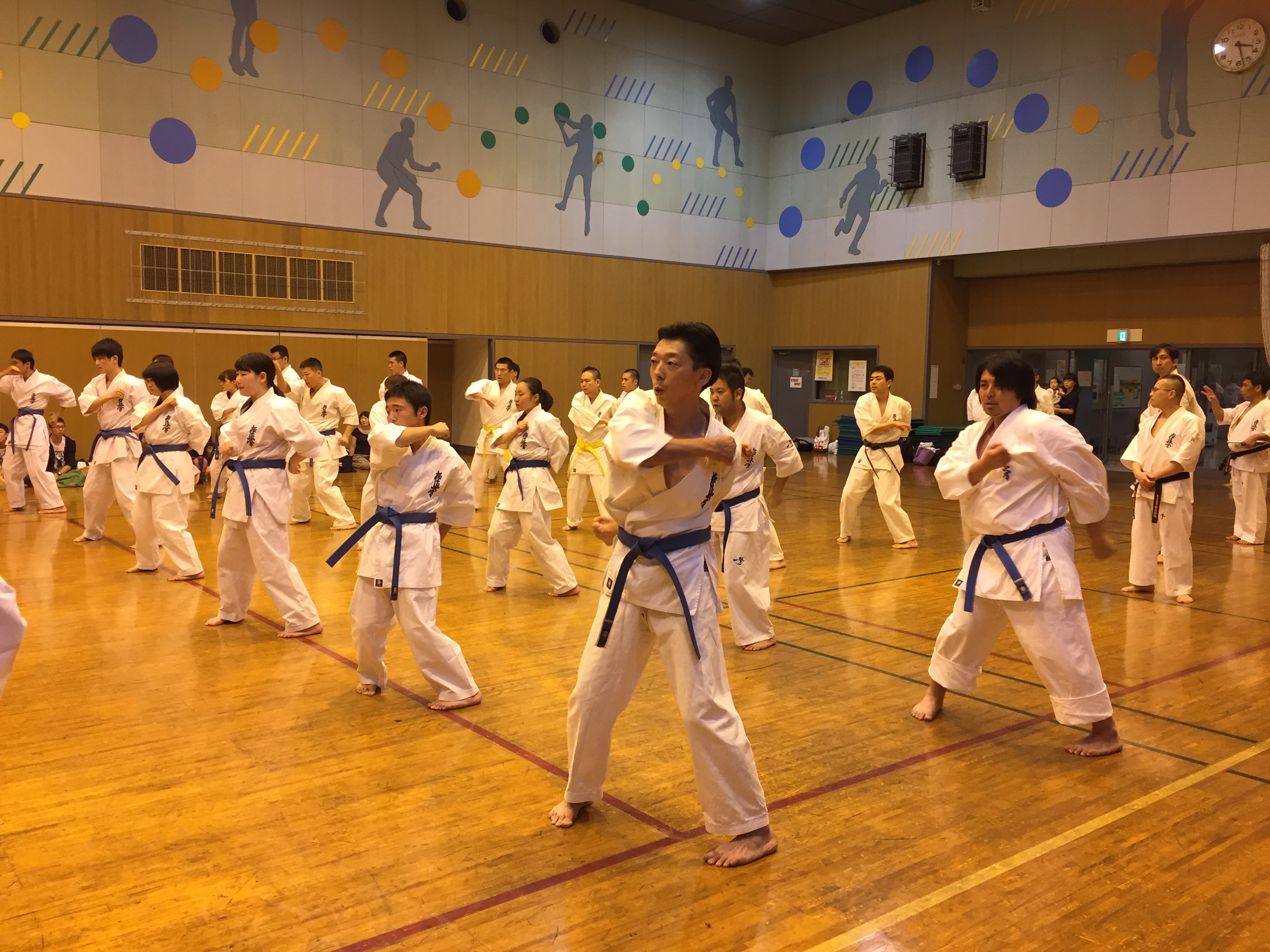 夏季審査会
