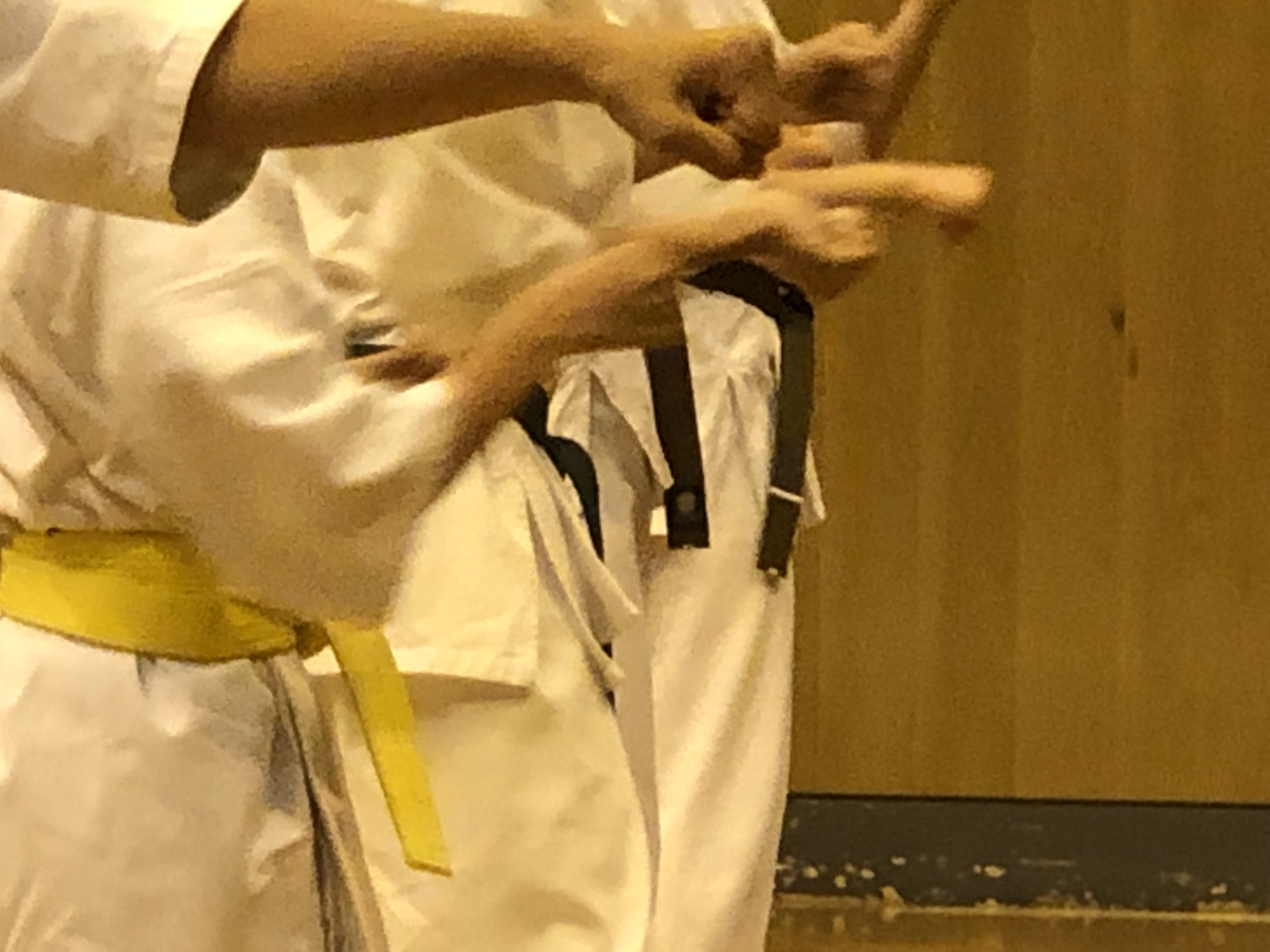 画像の説明